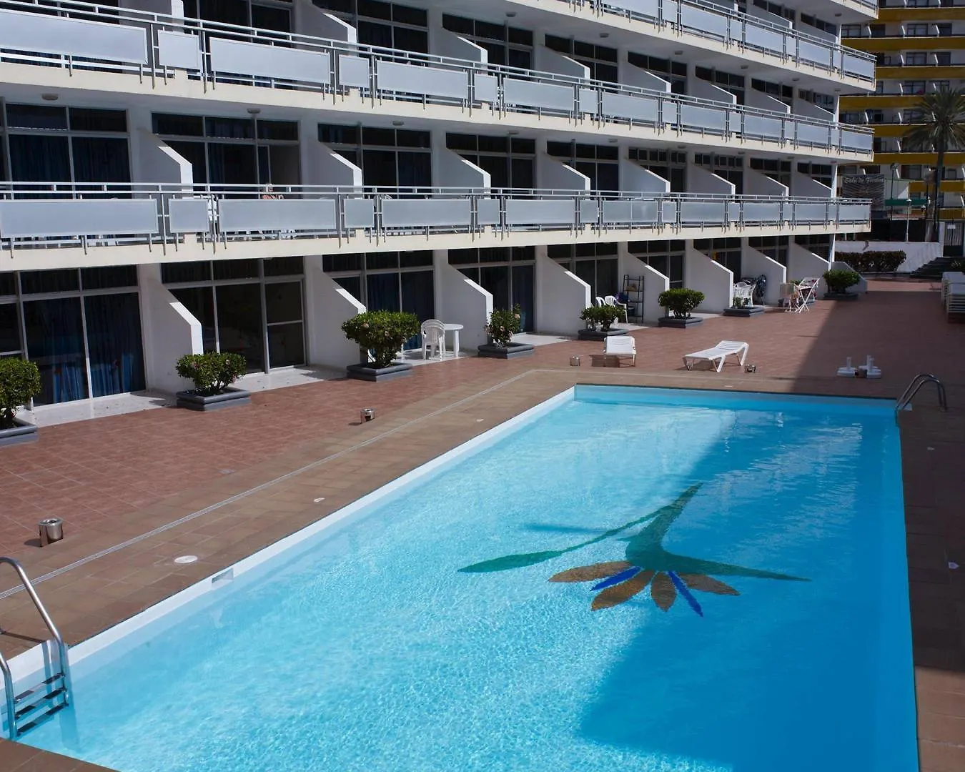 Apartamentos Strelitzias Πλάγια ντελ Ινγκλές